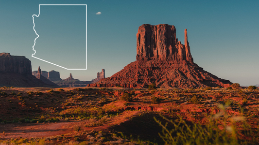Arizona DPS NEW Unarmed Guard Card Course - 8 Hours