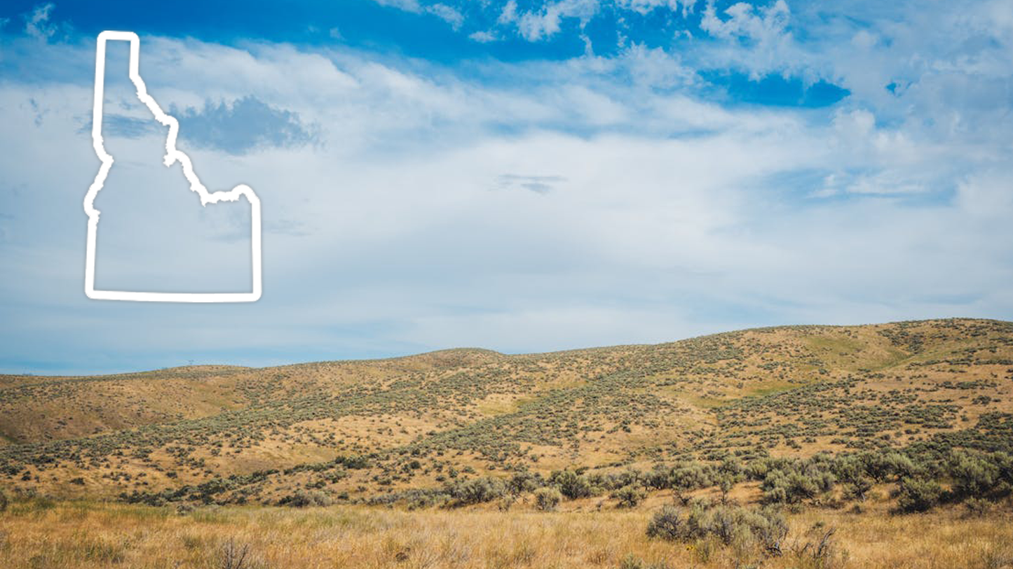 Idaho Security Guard Training Bundle: Confidence. Skills. Opportunity.