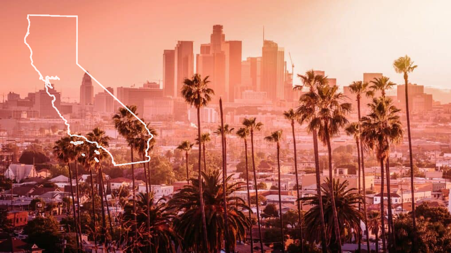 California BSIS NEW Guard Card Continuing Education Bundle - 32 Hours
