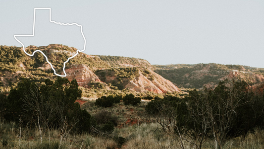 Texas Level II Non-Commissioned License Training Course