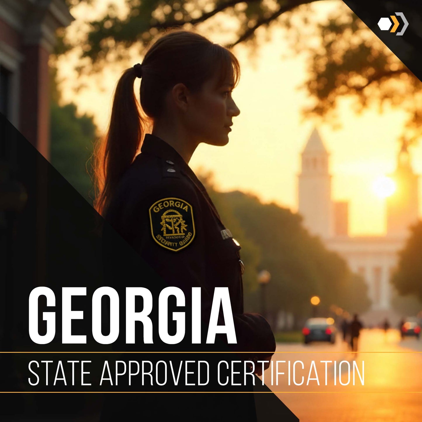 Georgia NEW Unarmed Guard Card Course - 24 Hours