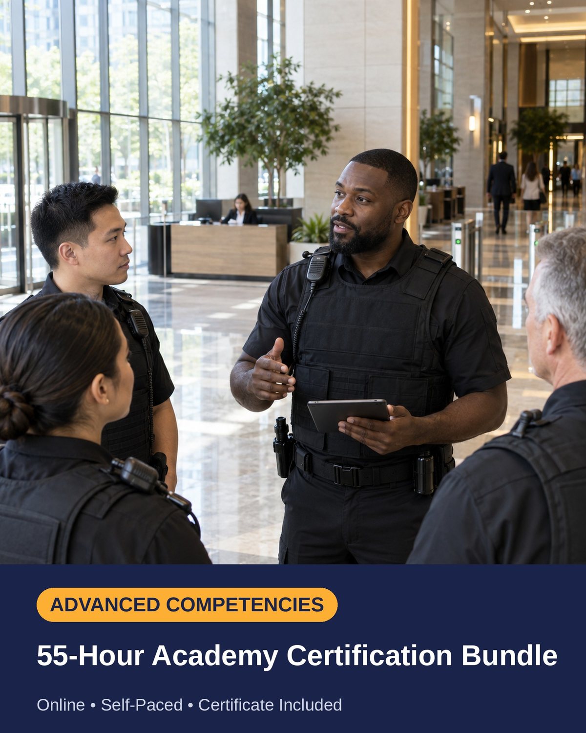 Defencify Academy: Bronze, Silver and Gold certification bundle, 55+ hours