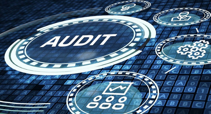 You Got a BSIS Audit. Now What?