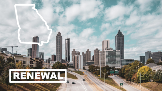 Georgia Armed Security Officer CE Bundle – 6 Hours (Excludes Firearms Training)