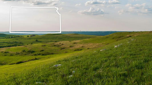 Kansas Security Guard Training Bundle: Confidence. Skills. Opportunity.