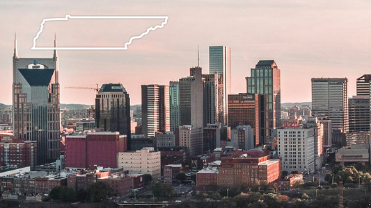 Tennessee Security License Training Course (4-Hrs)