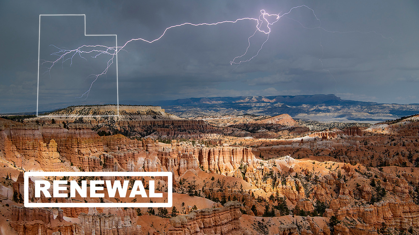 Utah Security Guard License Renewal - 32 Hour Training Bundle