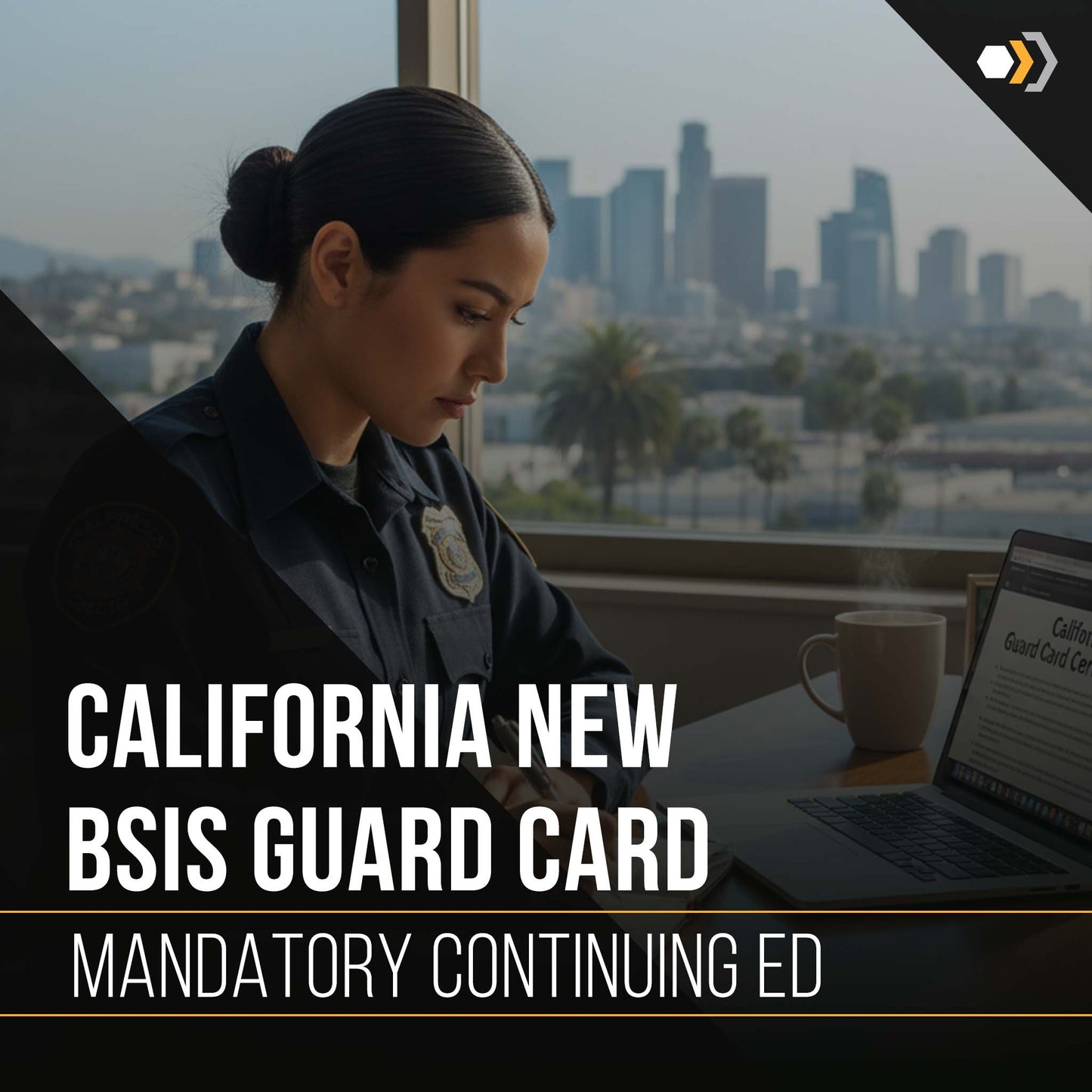 California BSIS NEW Guard Card MANDATORY Continuing Education Bundle - 16 Hours