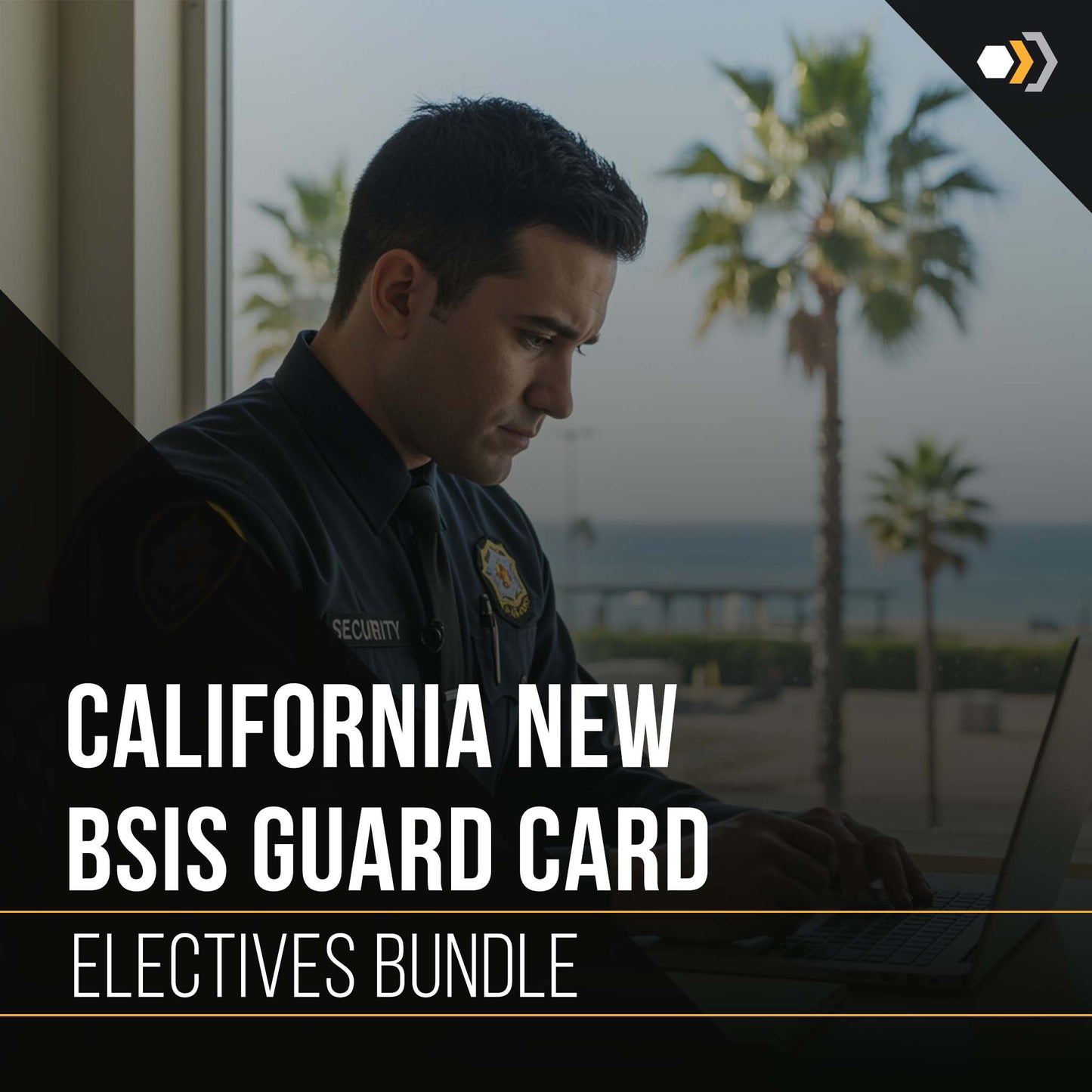 California BSIS NEW Guard Card ELECTIVES Bundle - 16 Hours