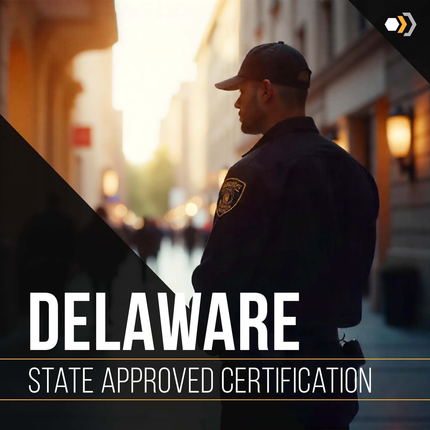 Delaware Yellow Card Security License Training Course (10-Hrs)