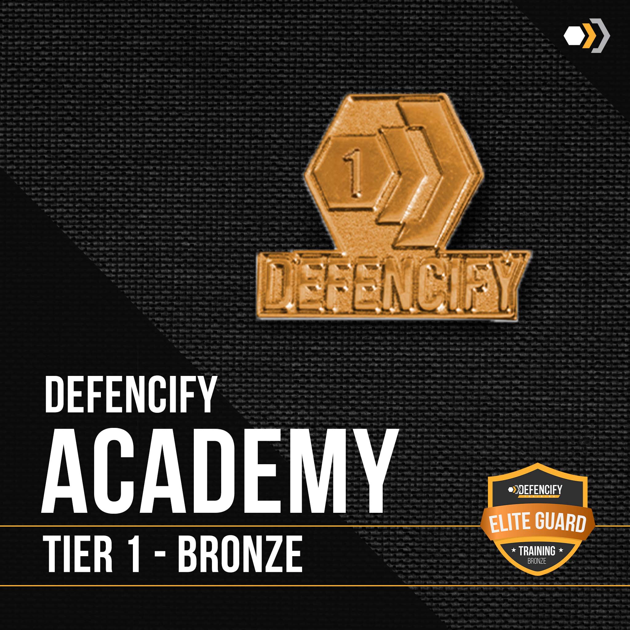 Defencify Academy Tier 1 Bronze lapel pin