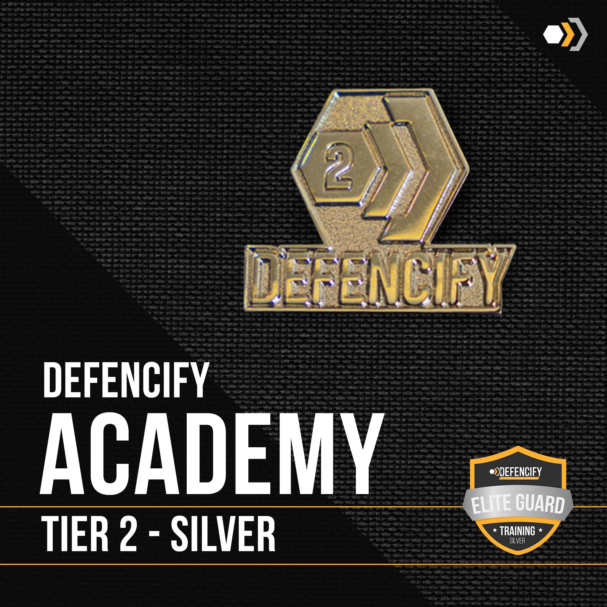 Defencify Academy Tier 2 Silver lapel pin