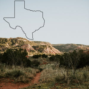 Texas Level II Non-Commissioned License Training Course